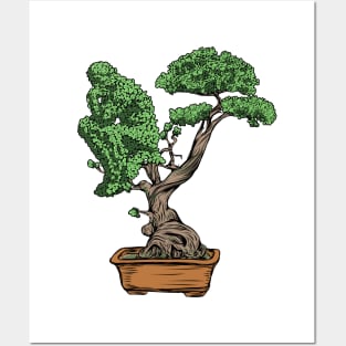 Bonsai Thinking Posters and Art